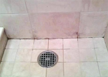 How To Completely Get Rid Of Pink Mold On Bathroom Ceiling Mold