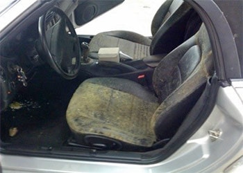 Mold Remediation In Cars