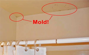 Signs Of Mold In Your Home