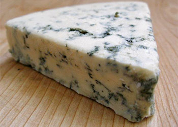 Mold On Cheese