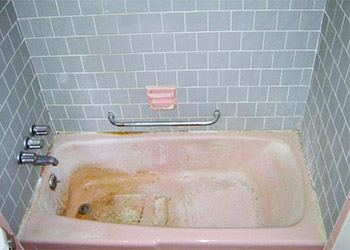 How to Prevent Pink Mold in Bathroom or Shower