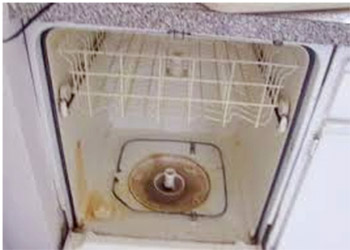 Pink Mold in Dishwasher