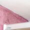 Pink Mold on the Wall