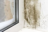 Preventing Mold and Mildew Growth