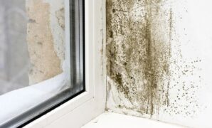 Preventing Mold and Mildew Growth